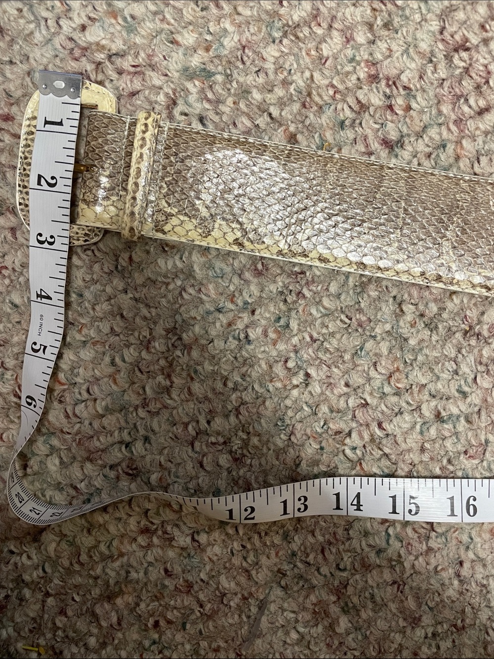 Genuine Snakeskin Wide Belt in Beige and Taupe- like new - Picture 5 of 5